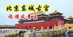 羞答答之91爱爱中国北京-东城古宫旅游风景区